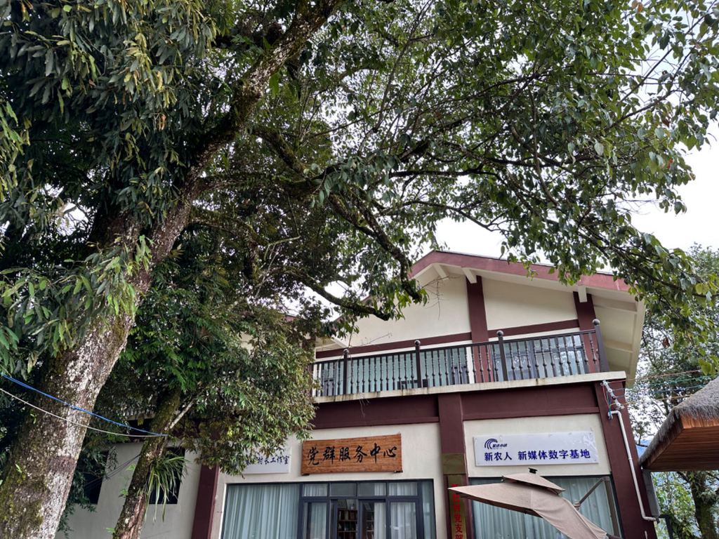 虾巴村新农人新媒体数字基地。通讯员 张培钰 李宁 摄