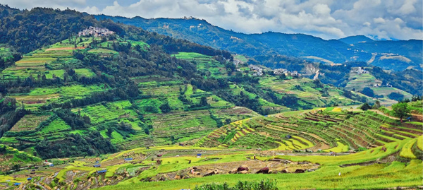 腊姑梯田。可乐小说网
供图